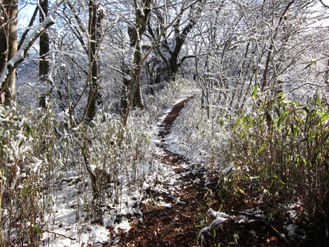 20191129hike (469)